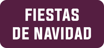 Fiestas de Navidad